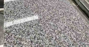 淮北 芙蓉白光面