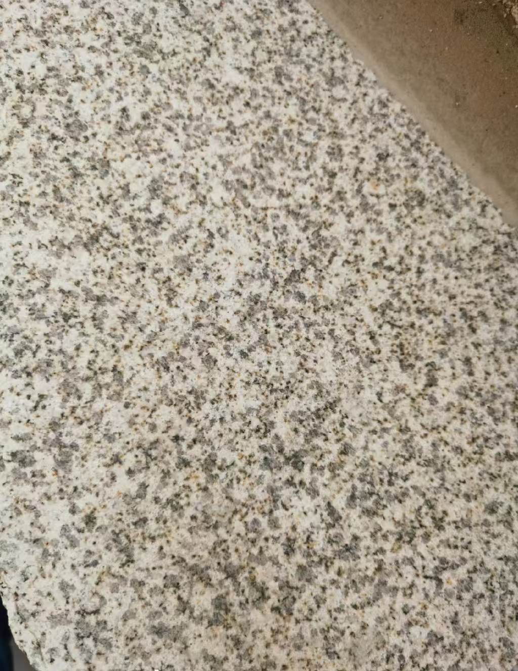 淮北 黄金麻中黄光面